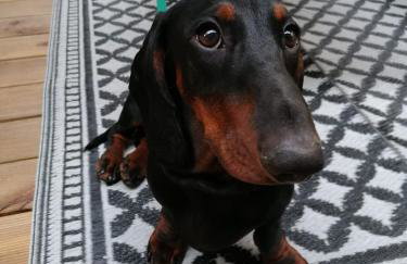 Świetna Chatka nad jeziorem - Foto 31