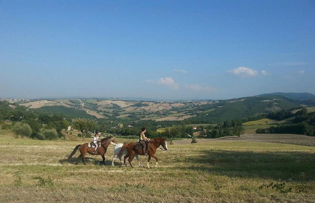 Agriturismo Il Casale - Photo 46