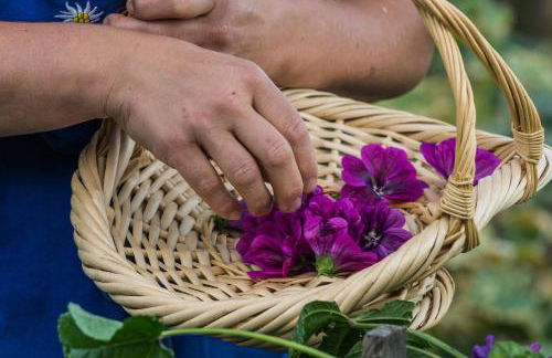 Oberhauser Hof - Apartments - Foto 15