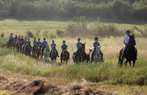 Holiday Home Hrboki Cr - Photo 19