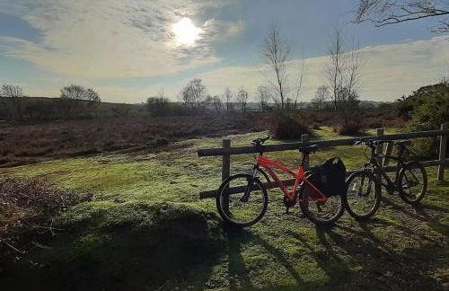 The Potting Shed Sopley - Photo 26