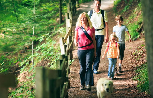 Le Moulin de Sournia - Gites - Foto 31