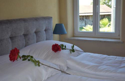 Palmengarten - Foto 53