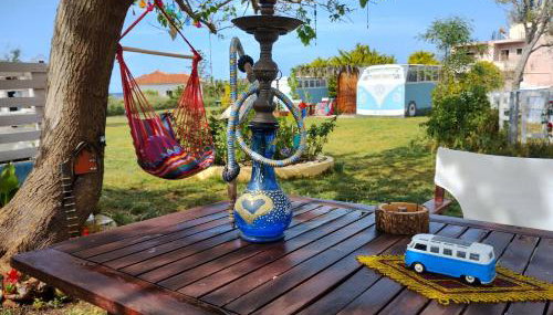 Cornelia Hippie Magic Bus - Foto 3, Garden, Garden view