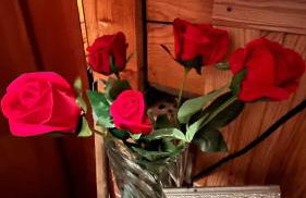 Domek Pod Kogutkiem Na Dolinie - Foto 22