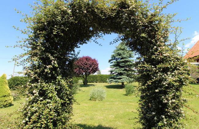 Rokytnice v Orlických horách - Foto 28