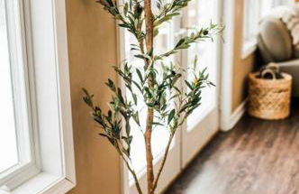 Modern Home of Style & Comfort! - Foto 18