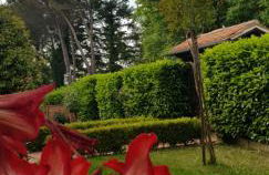 La Casa di Gigliola - Foto 10