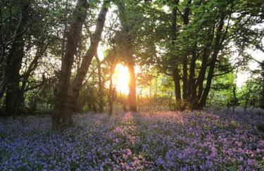 Sea Cliff View Designer Home - Photo 48