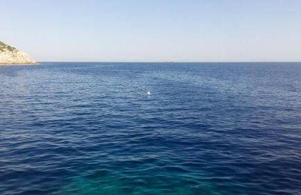 Cottage Melita the Apartment for Animal Lovers - Foto 56