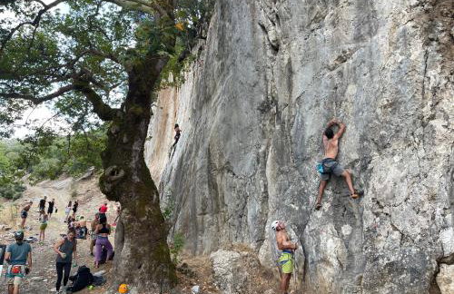 ΠΕΤΡΑΣΤΕΡΟ Canyon Retreat-Agrafa - Photo 17