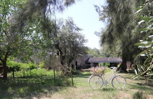 Acquavilla - Foto 16