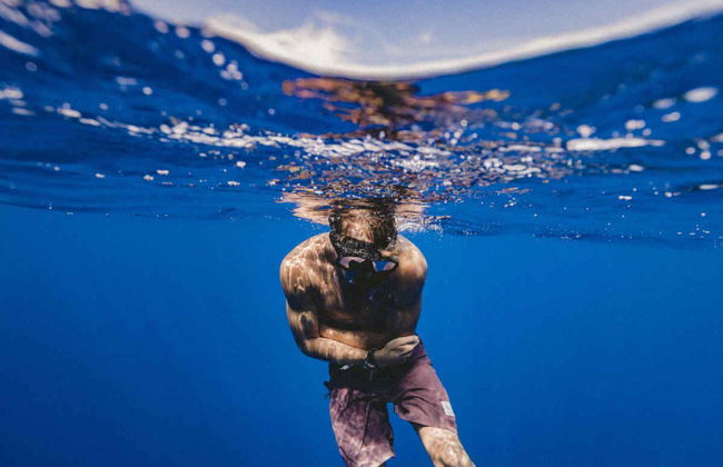Giro in catamarano di 5 ore con avvistamento e ascolto di cetacei - Foto 6