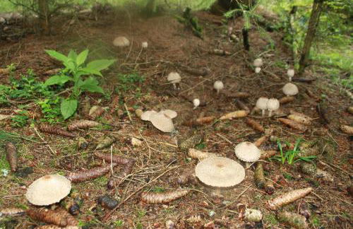 Haus Lila Welle - Foto 25