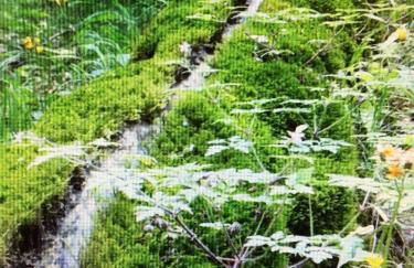 Familie Sattler - Foto 25