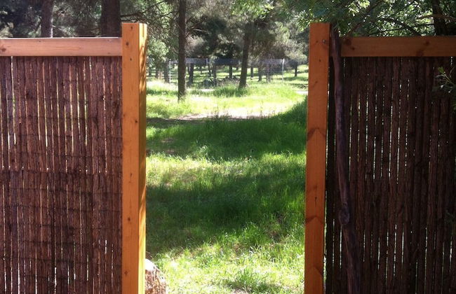 Hamakom Belrom - Photo 17