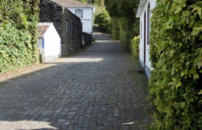 Quinta do Martelo - Photo 46