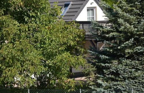 Ruhiges, sehr schönes Haus/Grundstück in Elbnähe. - Foto 17