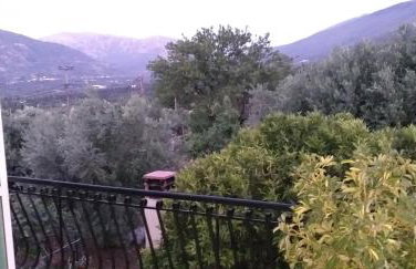 Toulatos Pantelis - Photo 6
