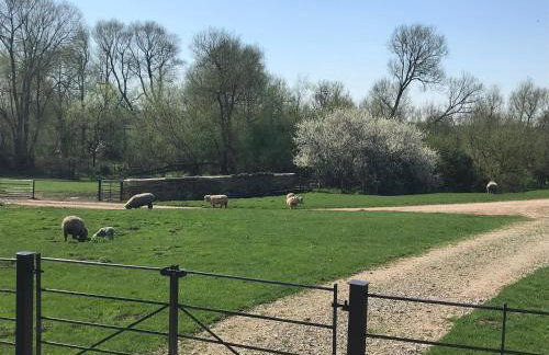 Weatherhead Farm - Foto 79