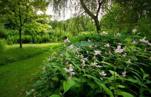 Bird Nest - dine with the eagles Private Retreat - Foto 16