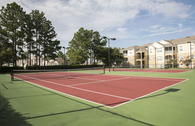 8131 Sun Palm Drive - Foto 25