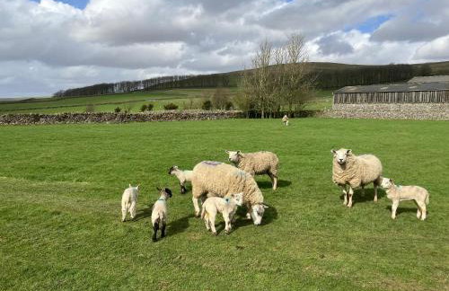 Sweet Knoll Farm - Foto 60