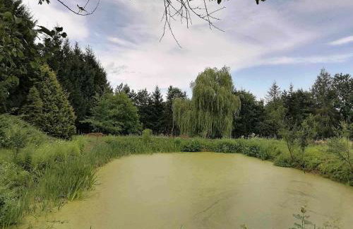 Nad Isągiem - Photo 26