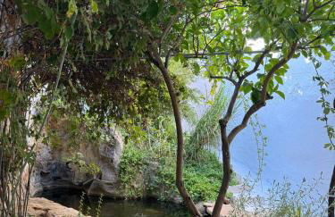 Despertar - Photo 18