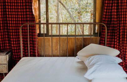 Arroyo & Grapes - Foto 8