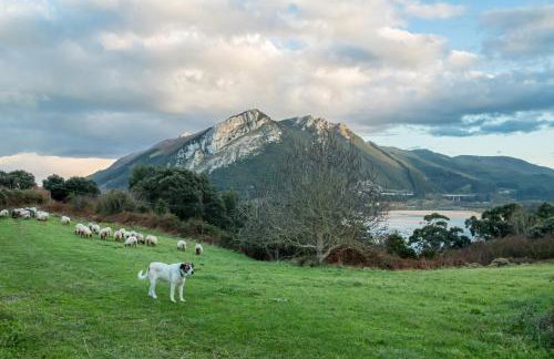 Villa La Perla De Sonabia - Foto 30