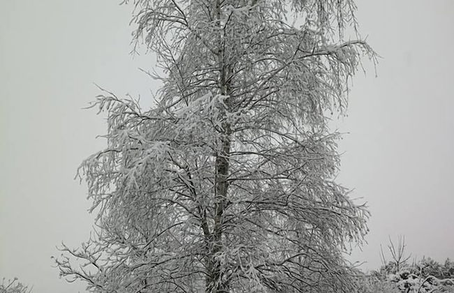 Agriturismo Tra Serra e Lago - Foto 20