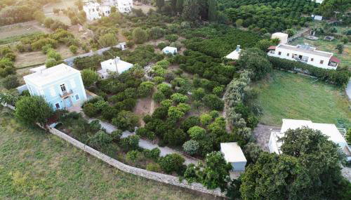 Phlea Farm Studios - Photo 2