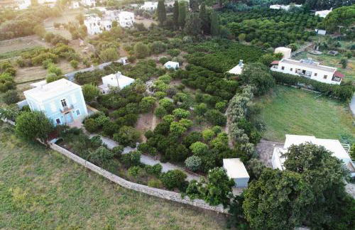 Phlea Farm Studios - Foto 2