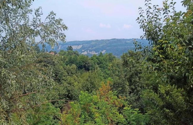 Mansion in Langhe With Pool and Winery Charm - Foto 33