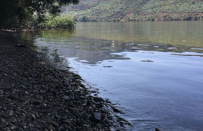 Casa do Rio - Foto 57