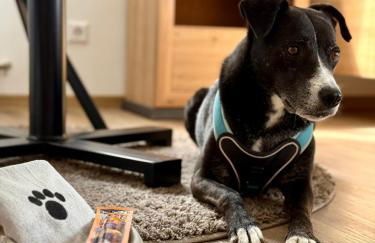 Apartment Chardonnay in Seenähe - Foto 22