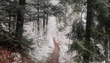 Mountain Apartment in Prémanon - Foto 5