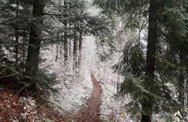 Mountain Apartment in Prémanon - Foto 5