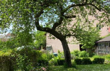 Landhaus am Schloss - Foto 40