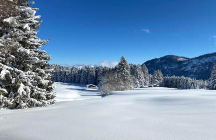 Ferienwohnungen Doro - Foto 56