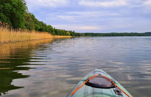 Ferienhaus SeeWaldMeer am Pinnower See bei Schwerin - Foto 27