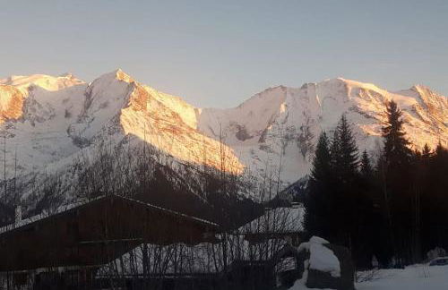 Mon refuge face au Mont Blanc - Photo 21