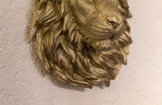 Taunuslodge - Foto 15