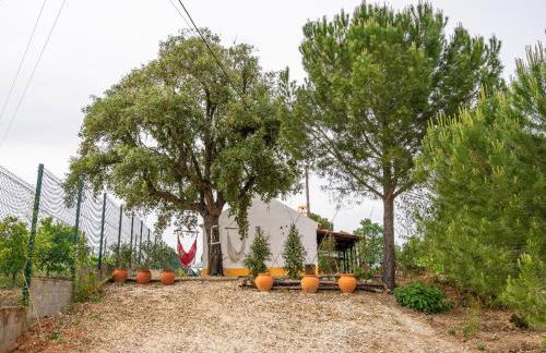 Monte da Marouca-Mont’Argil - Foto 11