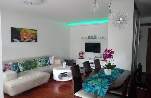 Apartament B & S - Free Garage Parking - Foto 8