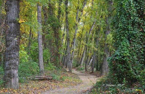 La Casa del Río, piscina natural a 5 min en coche - Foto 4