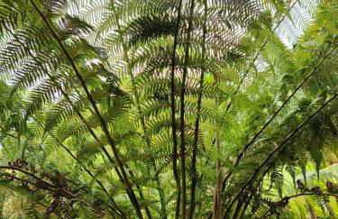 CHARMANT APPARTEMENT 3 étoiles classé BORD DE MER Travel Award 2026 - Photo 34