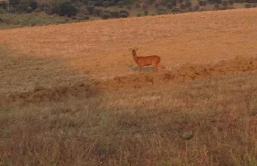 Molino della Tuoma - Foto 49