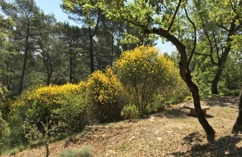 Villa de Carbonelle - Foto 41